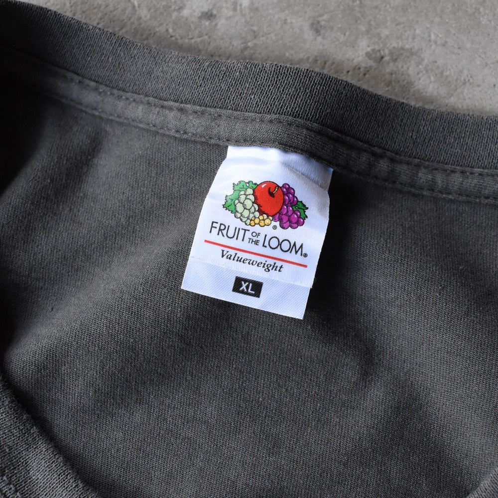 Fruit of the Loom ”LEONARDO” アート Tシャツ 250412