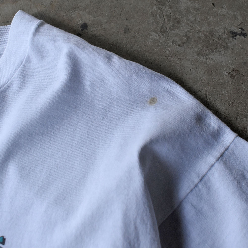 90’s Fruit of the loom “BRICKYARD 400 1995” レーシングTシャツ 250517