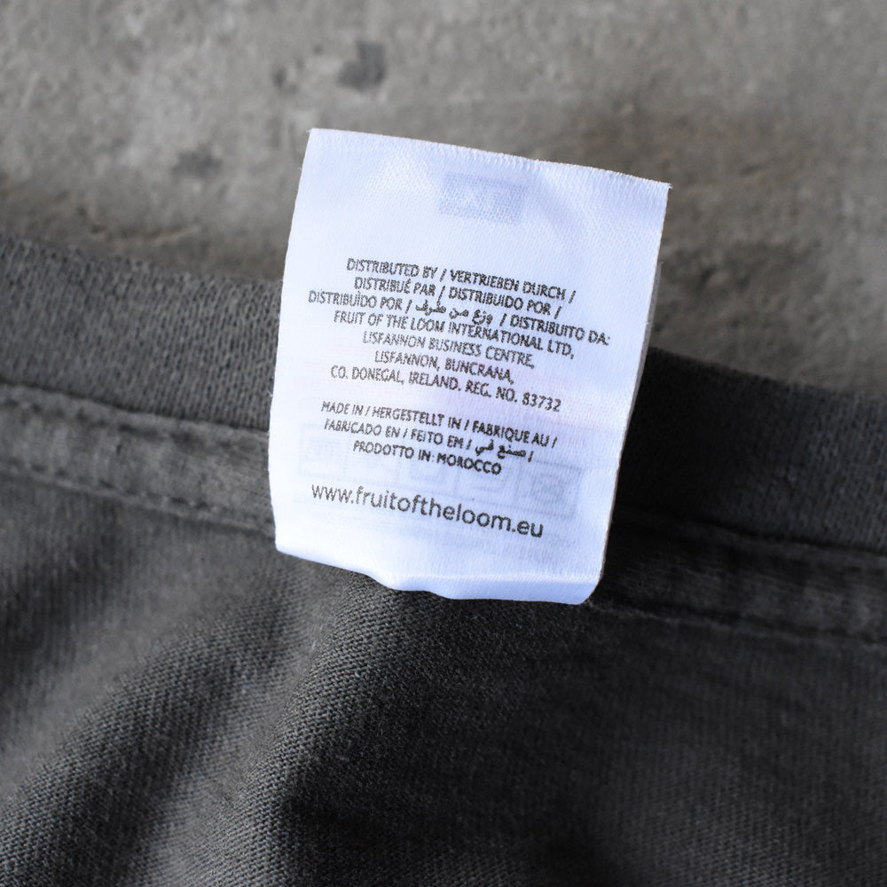 Fruit of the Loom ”LEONARDO” アート Tシャツ 250412