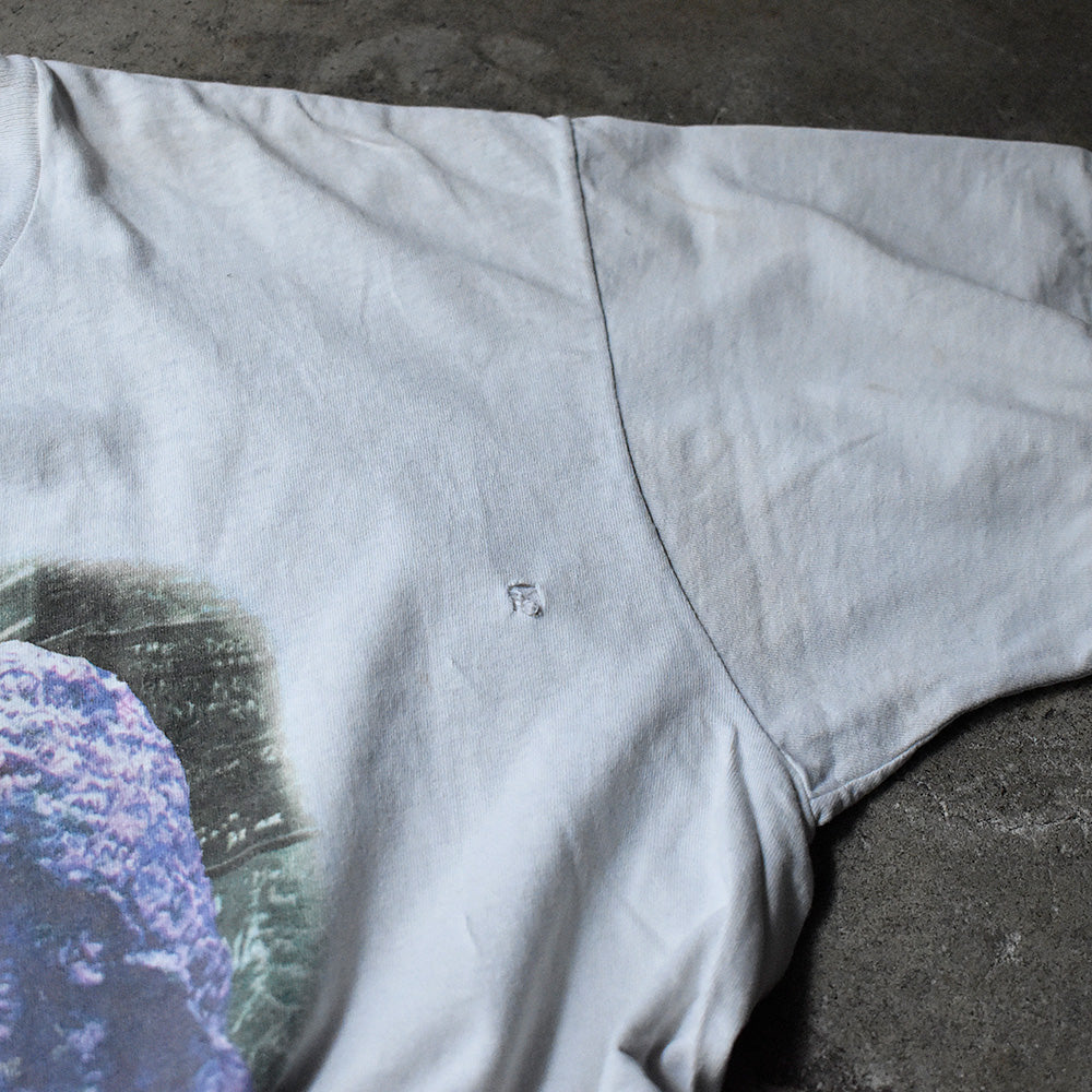 90's “Jim Morrison“ 追悼Tシャツ 240425H