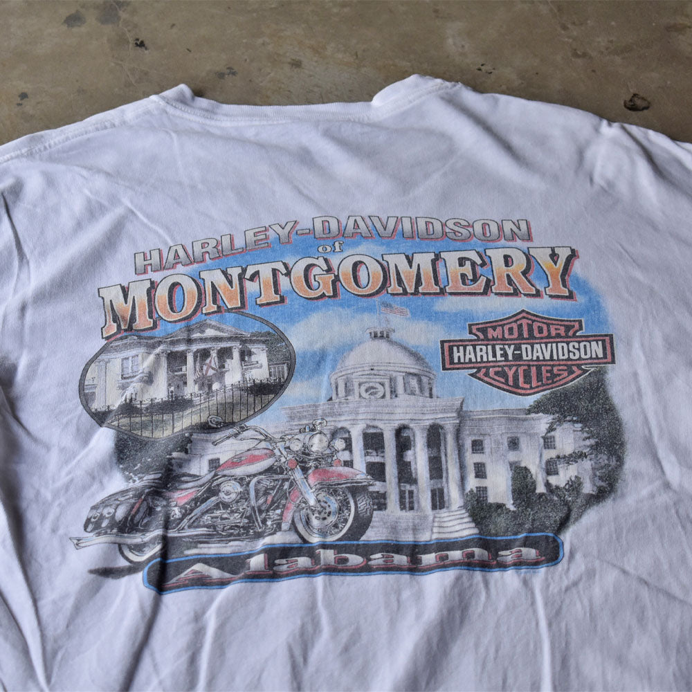 Y2K Harley-Davidson “HELL ON WHEELS” ファイヤーパターン ロングスリーブ Tシャツ USA製 240520