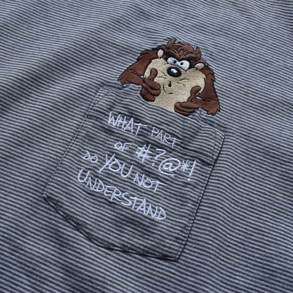 90's Looney Tunes/ルーニー・テューンズ ”TAZ” ボーダーTシャツ 230906