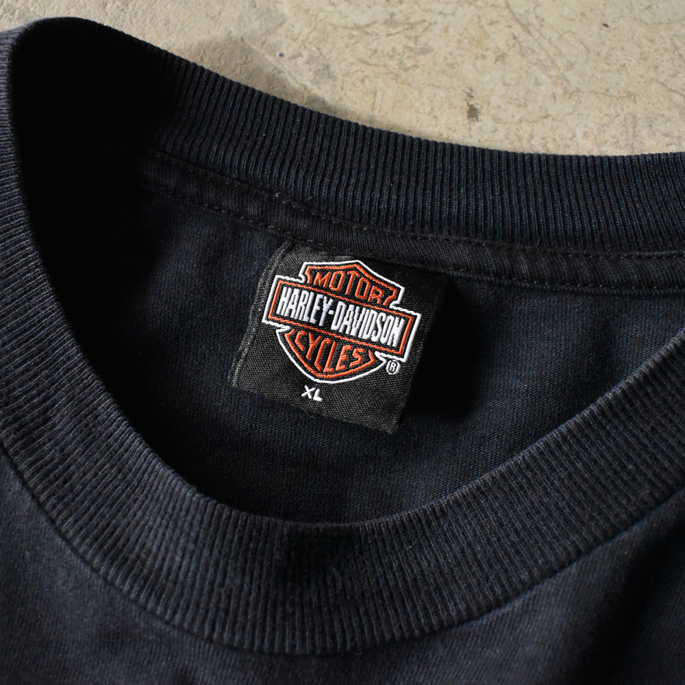 Y2K Harley-Davidson “THUNDER MOUNTAIN” バー&シールド ロゴ Tシャツ USA製 240527