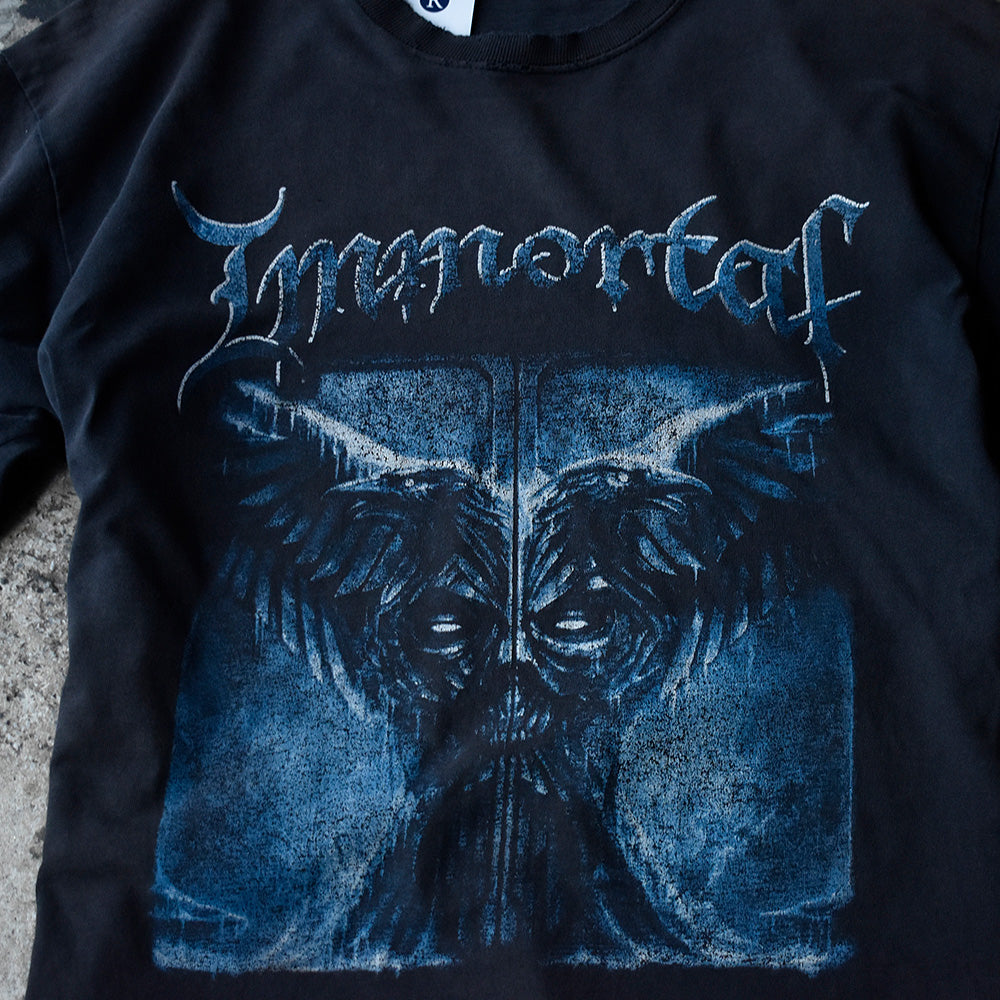 Y2K Immortal “All Shall Fall“ ロック Tシャツ 250726H