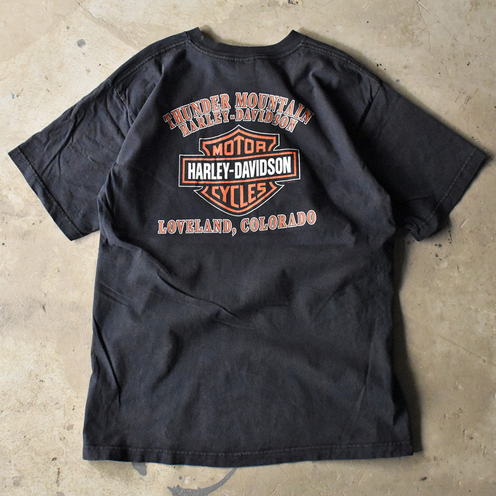 Y2K Harley-Davidson “THUNDER MOUNTAIN” バー&シールド ロゴ Tシャツ USA製 240527