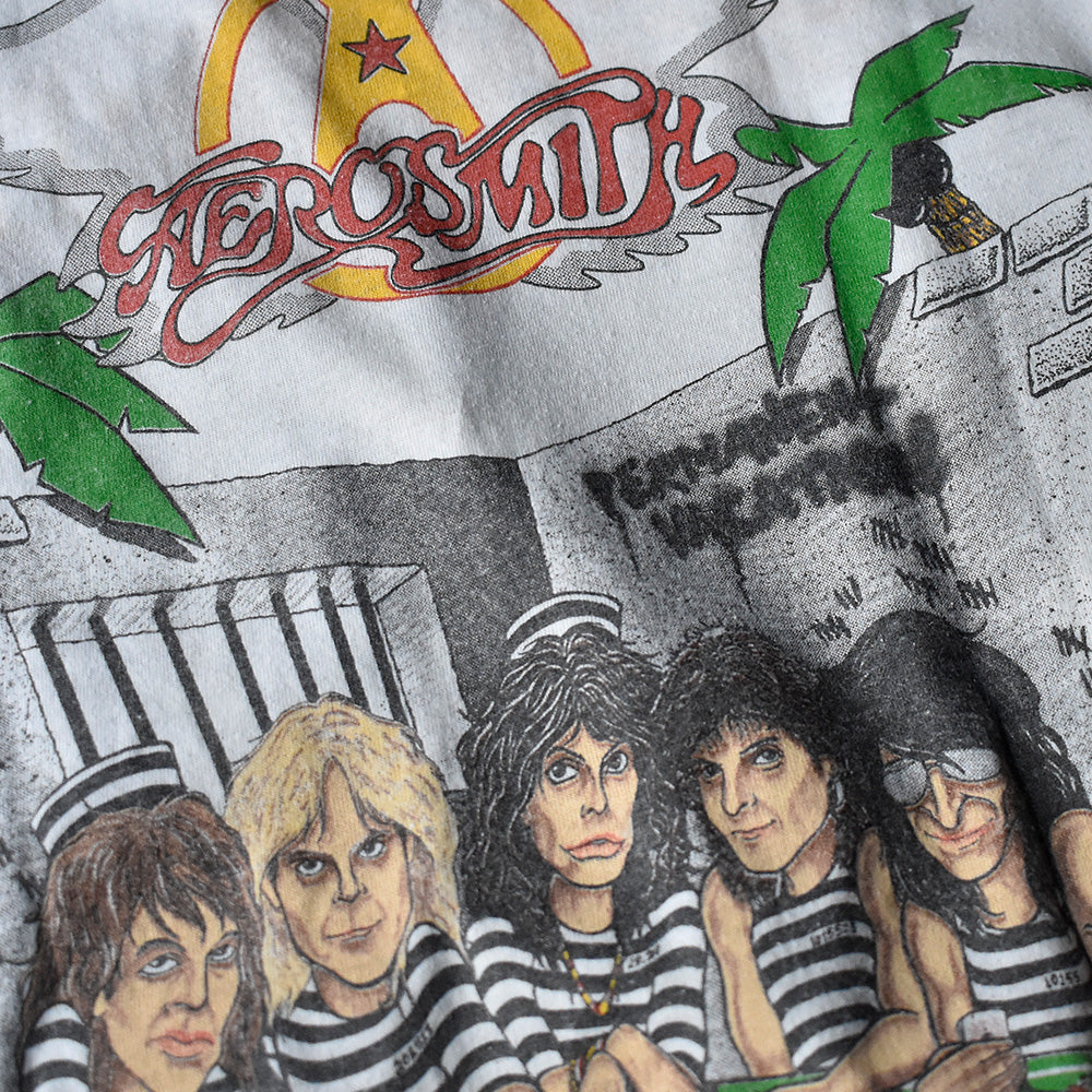 80's Aerosmith “Permanent Vacation” Tシャツ 240219H