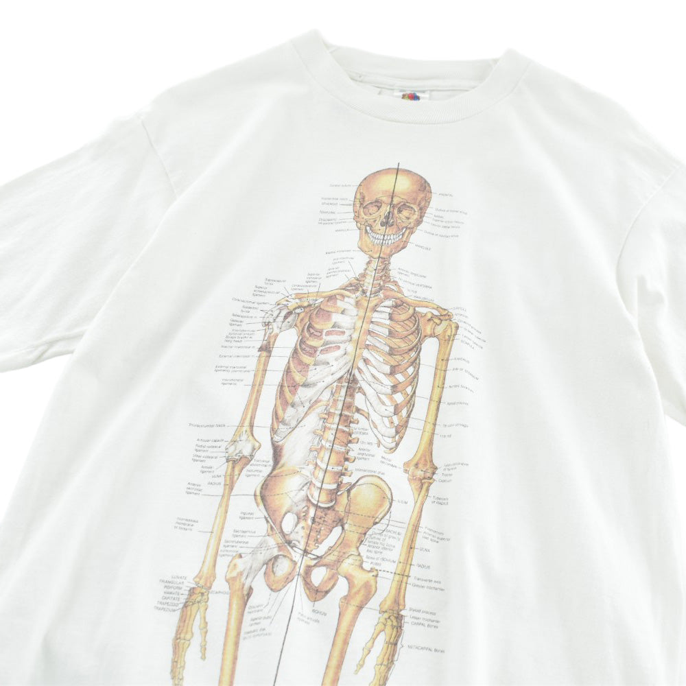 た*】様 希少90s AnatomicalChartCoアートT 解剖図スカルU 90's Anatomical Chart Co. 人体骨格図 スケルトン Tシャツ 260417H