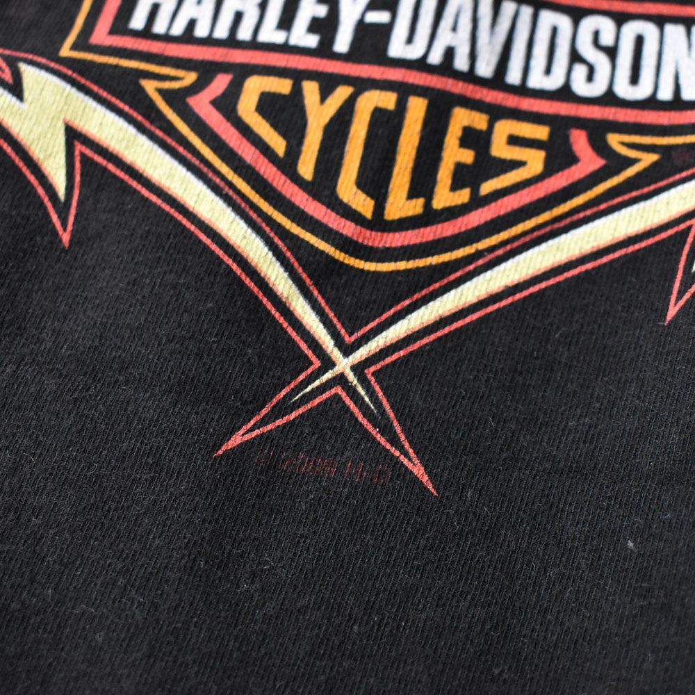 Harley-Davidson “NEW YORK CITY” サンダー イーグル Tシャツ USA製 240523