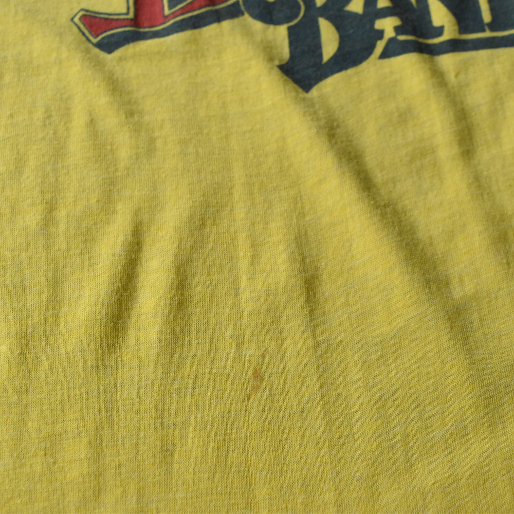 80’s Charlie Daniels ”WINDOWS” ツアー バンドTシャツ 250616