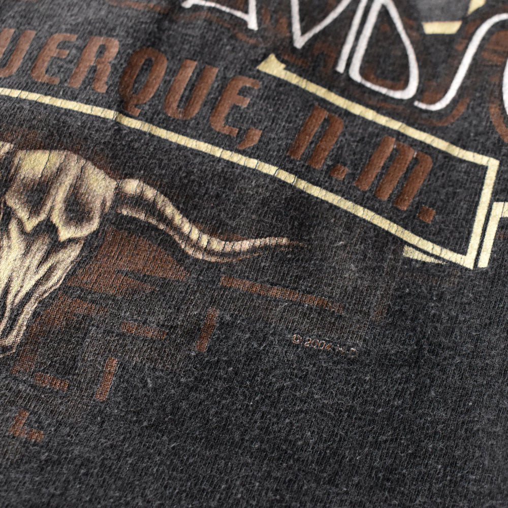 Y2K Harley-Davidson “PURE HD PRIDE” 両面プリント Tシャツ 240604
