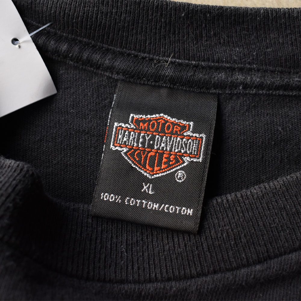 Y2K Harley-Davidson “DAYTONA BIKE WEEK 2001” ファイヤーパターン! 両面プリント Tシャツ USA製 250409