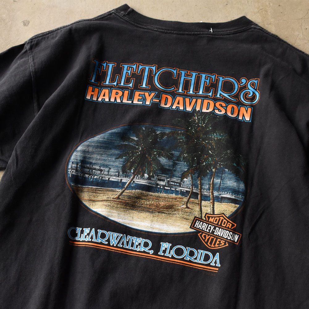 Y2K Harley-Davidson “DAYTONA BIKE WEEK 2001” ファイヤーパターン! 両面プリント Tシャツ USA製 250409