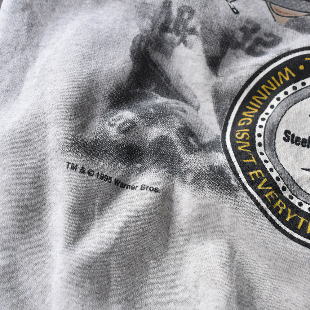 90’s Looney Tunes “NFL Pittsburgh Steelers × TAZ” キャラ スウェット USA製 240523