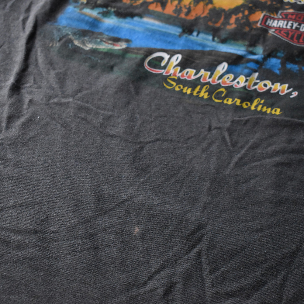 Y2K Harley-Davidson “South Carolina Lowcountry” Tシャツ USA製 240624
