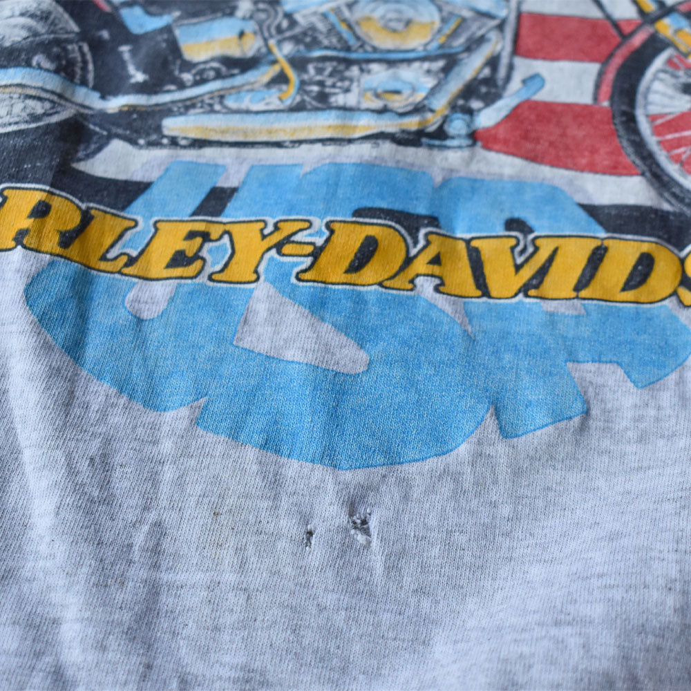 90’s Harley-Davidson 星条旗&イーグル バイク Tシャツ USA製 240723H