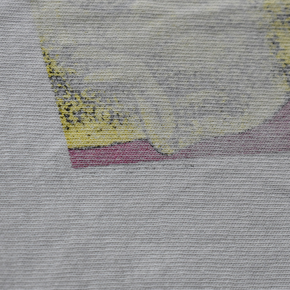 90's ボロ! STANLEY DESANTIS Andy Warhol Type “ダイナソー“ カットオフ Tシャツ 250812H