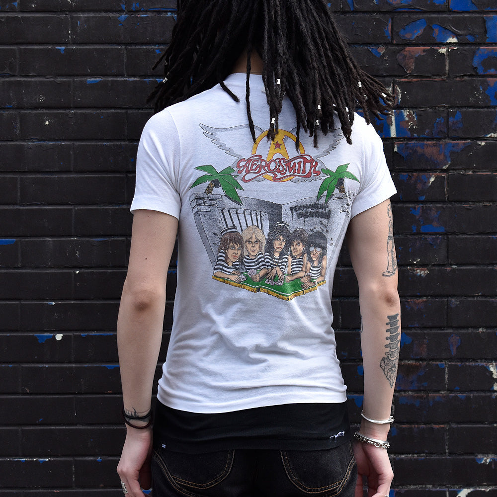 80's Aerosmith “Permanent Vacation” Tシャツ 240219H