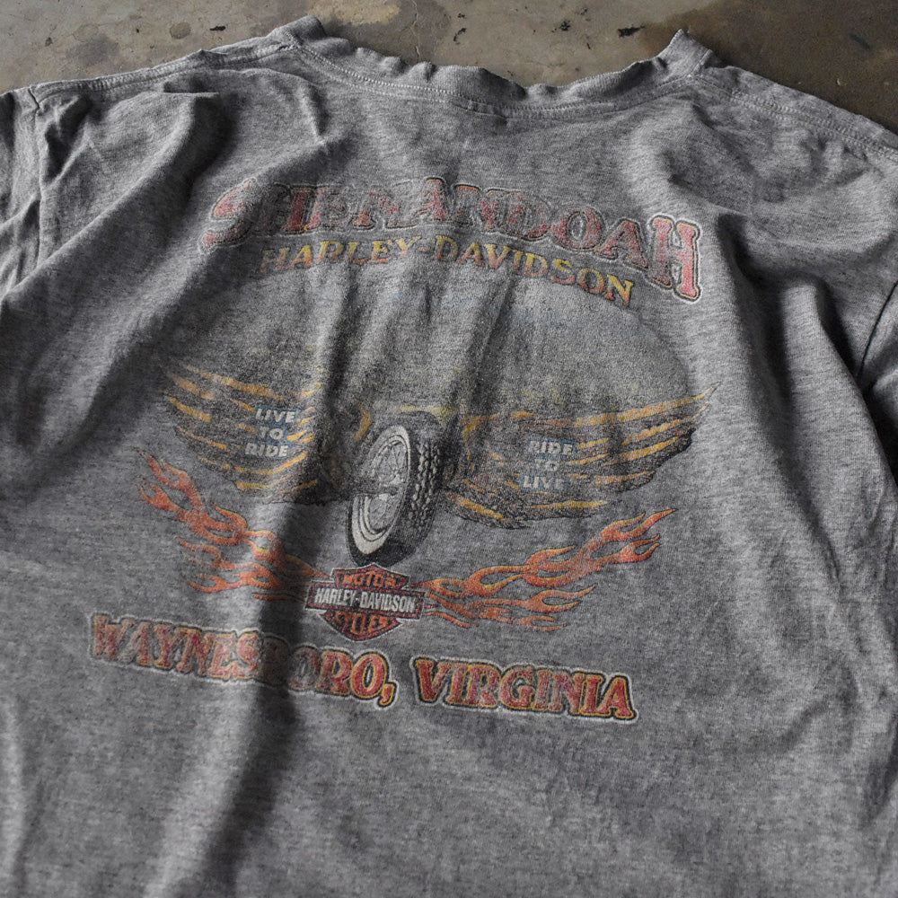90’s Harley-Davidson Tシャツ USA製 240328