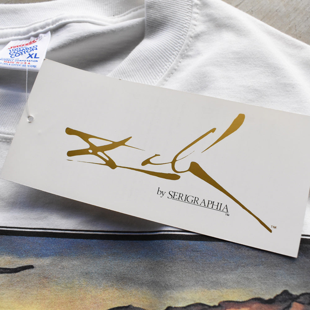 90’s デッドストック! Salvador Dalí “The Disintegration of the Persistence of Memory” アート Tシャツ USA製 250607 (C)