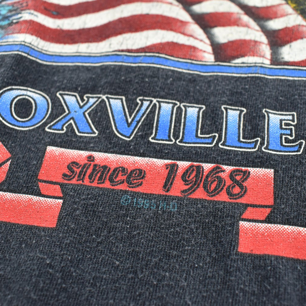 90's HARLEY-DAVIDSON "NO BOUNDARIES" 狼&炎 ハーレーTシャツ USA製 260626H