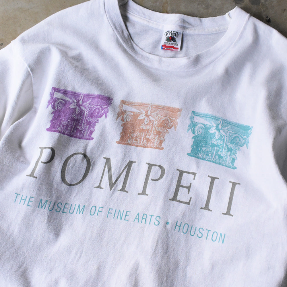 90’s The Museum of Fine Arts, Houston “POMPEII” アート Tシャツ USA製 250528