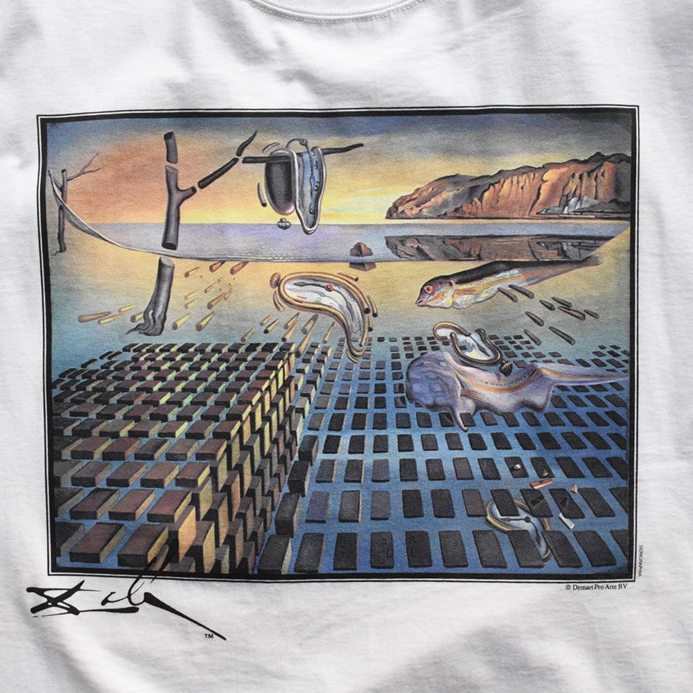 90’s デッドストック! Salvador Dalí “The Disintegration of the Persistence of Memory” アート Tシャツ USA製 250607 (C)