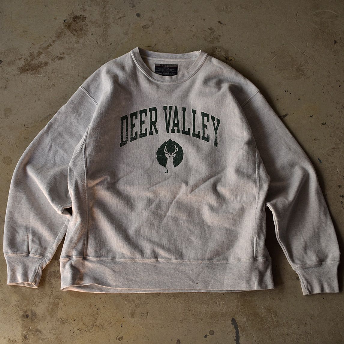 Y2K Champion/チャンピオン “Deer Valley” RWスウェット 221208