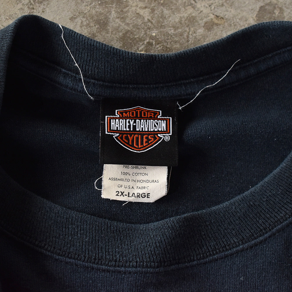 90's Harley-Davidson/ハーレーダビッドソン ファイヤーパターン! Long sleeve Tee 220428