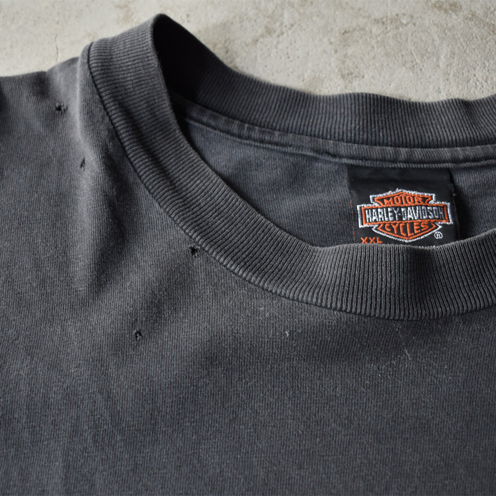 Y2K Harley-Davidson/ハーレーダビッドソン “Alabama” Tee USA製 220429
