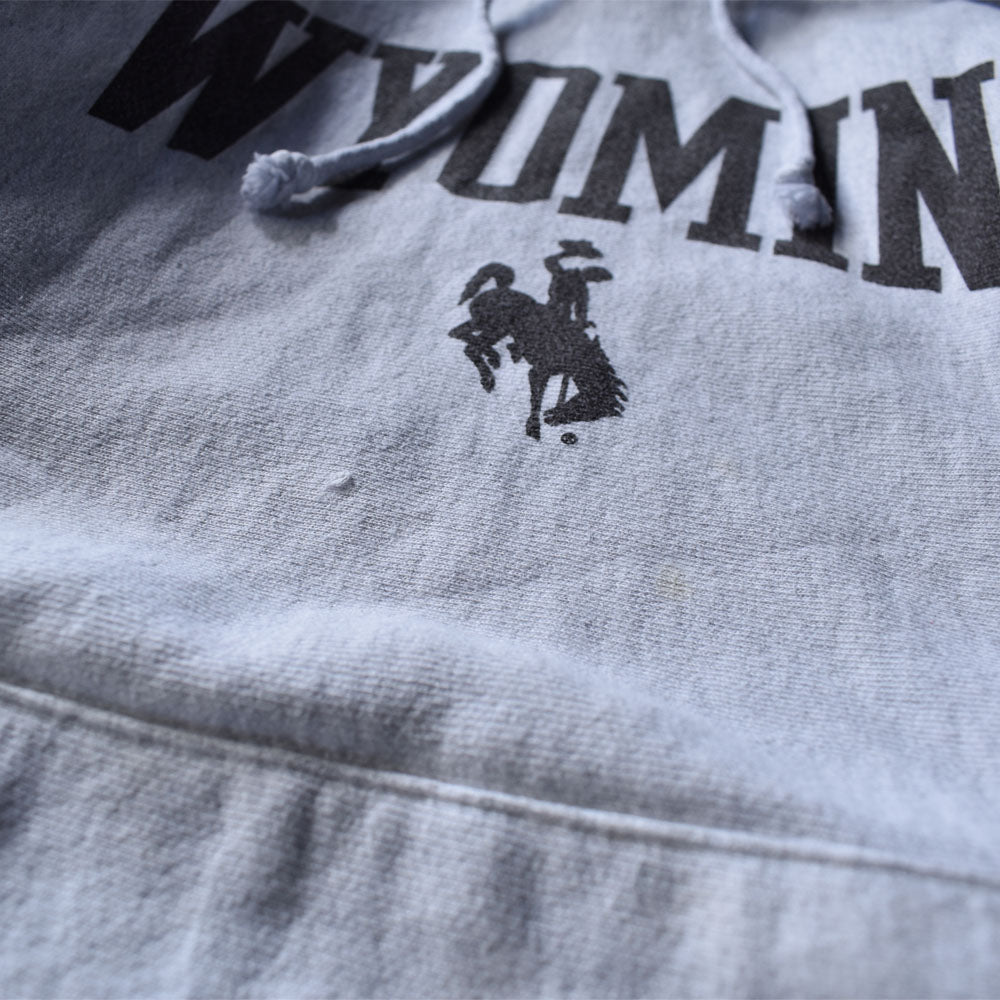 Champion/チャンピオン "WYOMING" RWパーカー 230214
