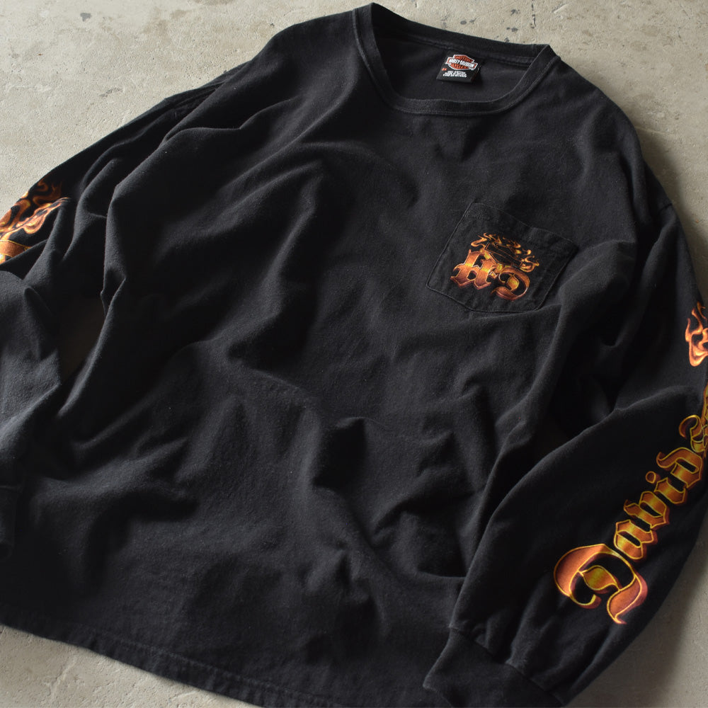 Y2K Harley Davidson/ハーレー・ダビッドソン 袖プリ ファイヤーパターン!L/S Pocket Tee 220805