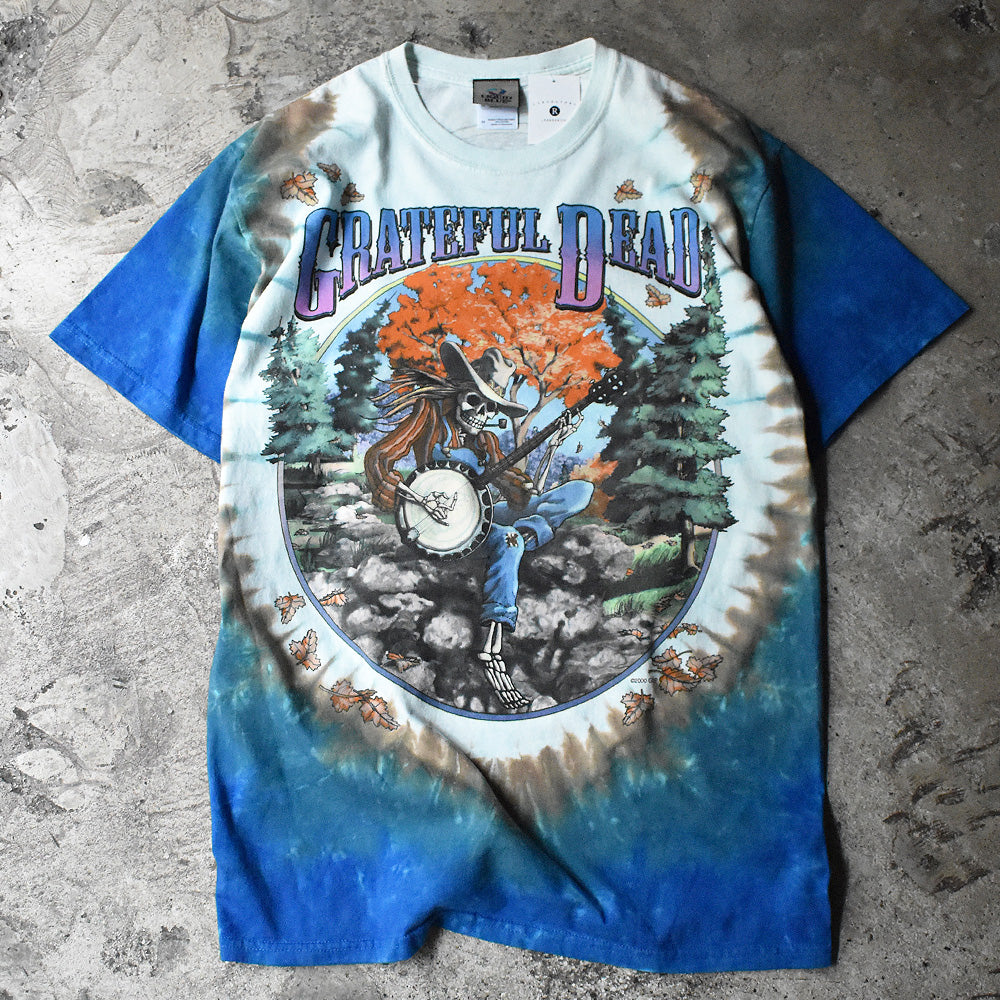 00s LIQUID BLUE Jimi Hendrix ロック バンドTシャツ