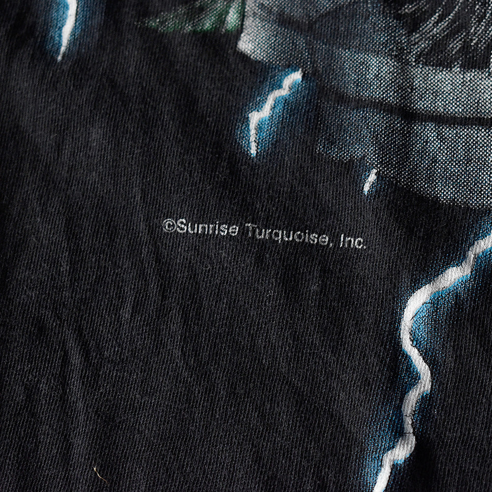 90’s AMERICAN THUNDER “ウルフ×サンダー“ Tシャツ 250519H