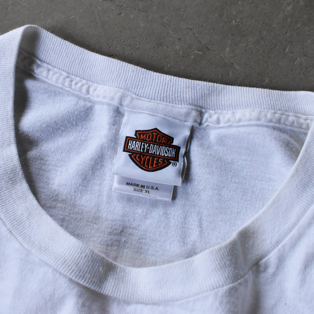 Harley-Davidson “DEVIL MOUNTAIN” 両面プリント Tシャツ USA製 240728