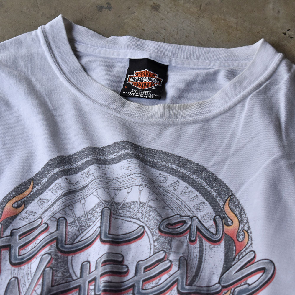 Y2K Harley-Davidson “HELL ON WHEELS” ファイヤーパターン ロングスリーブ Tシャツ USA製 240520