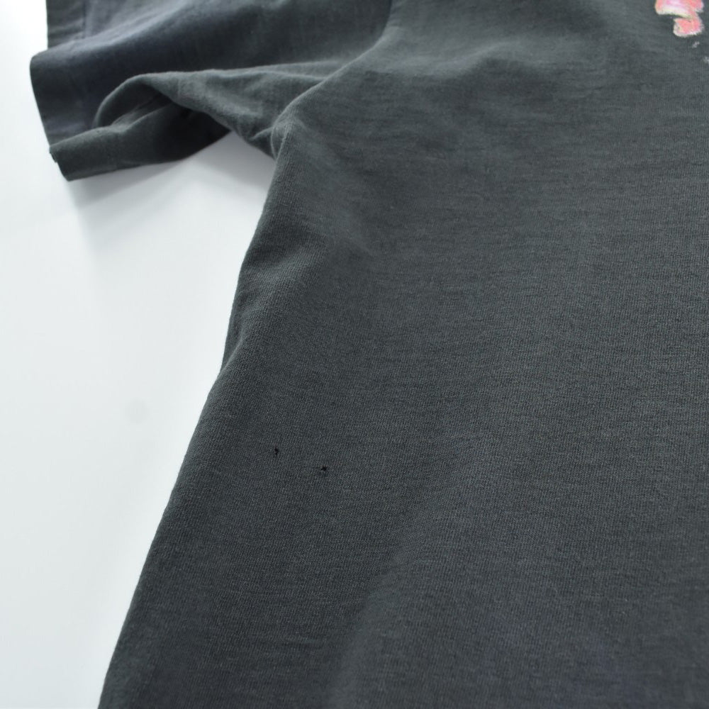 90's Steely Dan "Aja" ロックTシャツ 260818H