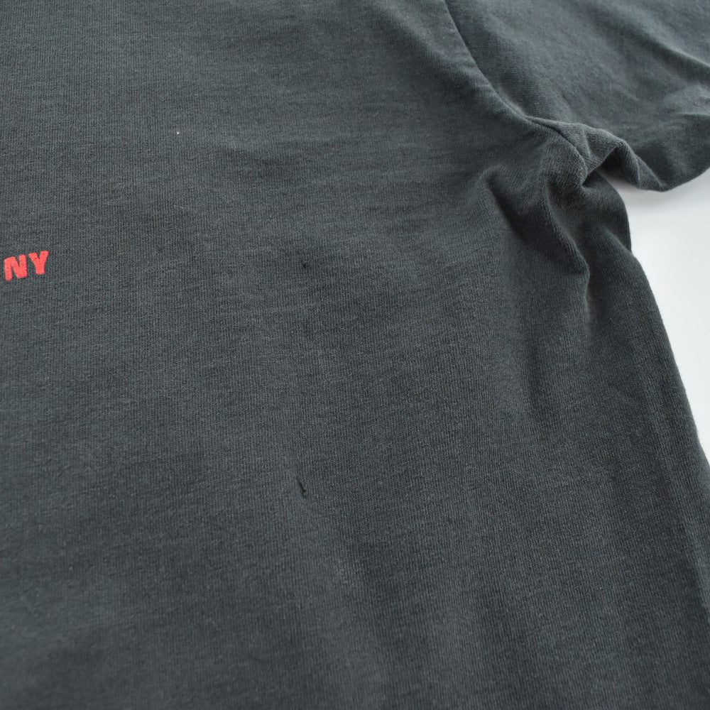 90's Steely Dan "Aja" ロックTシャツ 260818H