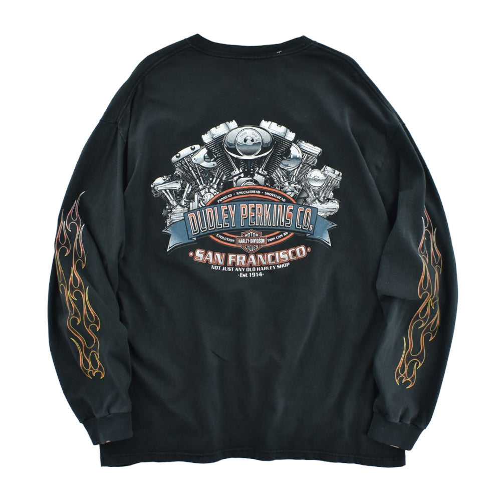 Y2K Harley-Davidson フレイムパターン バイク ロンT USA製 260602H