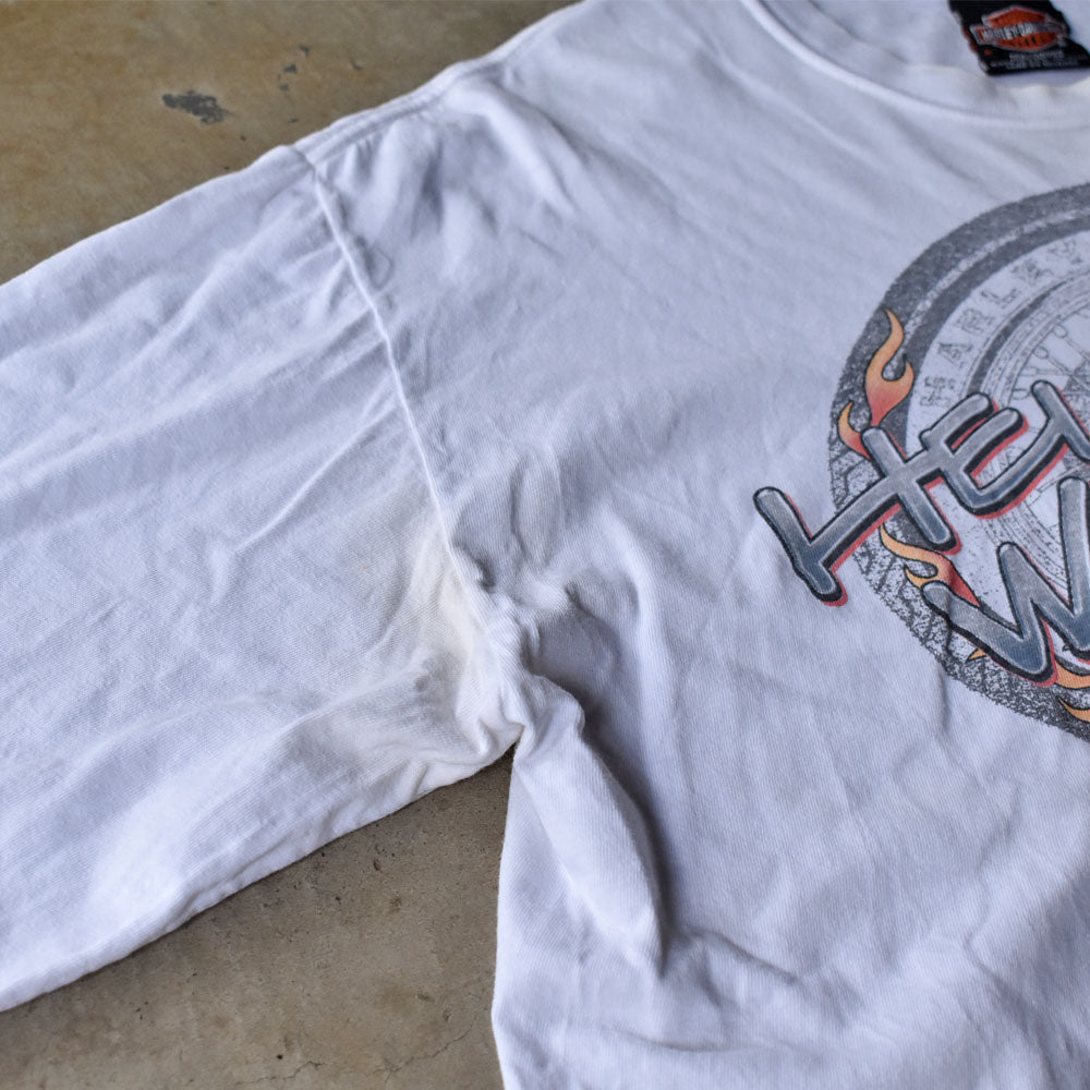 Y2K Harley-Davidson “HELL ON WHEELS” ファイヤーパターン ロングスリーブ Tシャツ USA製 240520