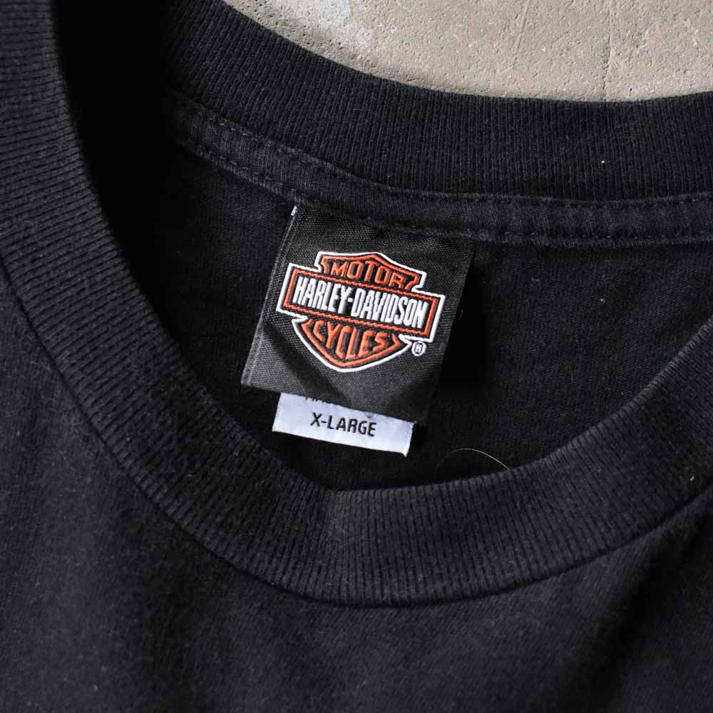 Harley Davidson “MARION, INDIANA” イーグル 両面プリント Tシャツ USA製 240928