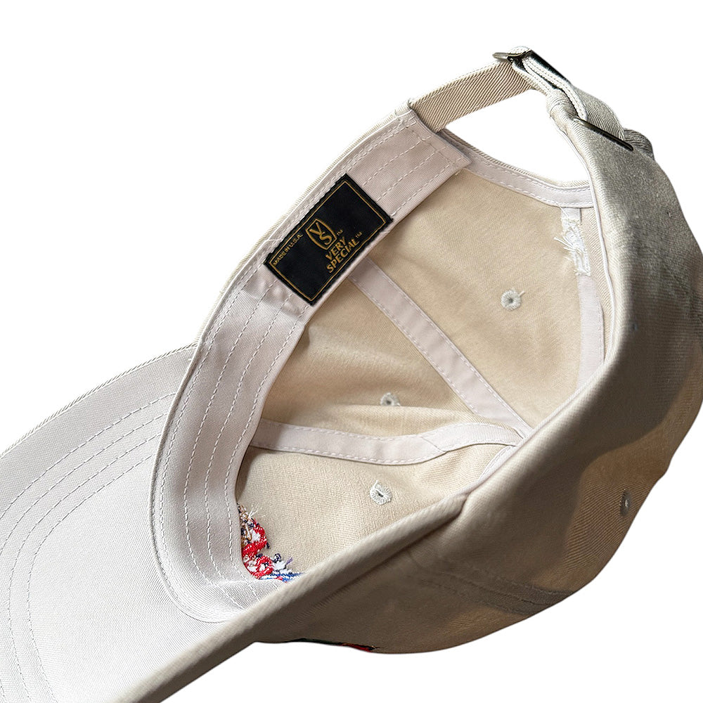 VERY SPECIAL “GENEVA 6-PANEL HAT“ 250609H