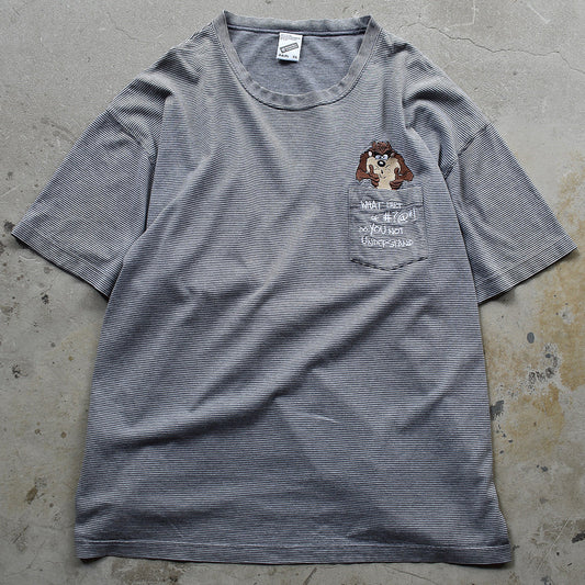 90's　Looney Tunes/ルーニー・テューンズ ”TAZ” ボーダーTシャツ　230906