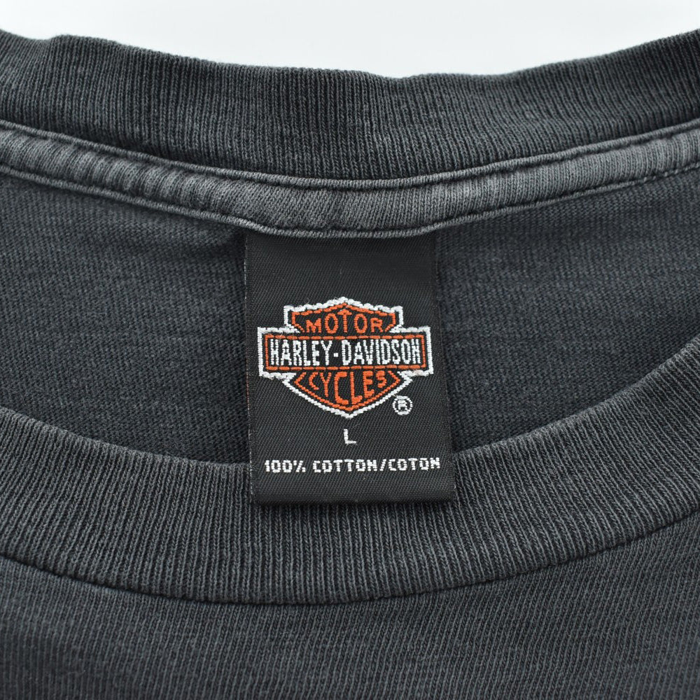 Y2K HARLEY-DAVIDSON Vツインエンジン ハーレーTシャツ USA製 260623H