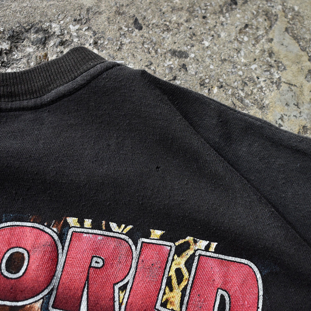 90's Chicago Bulls “1996 NBA Champions" Tシャツ 240409H