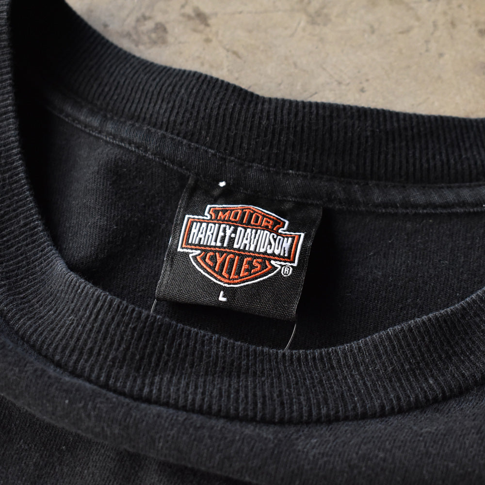Y2K　Harley-Davidson/ハーレー・ダビッドソン スカル 両面プリント Tシャツ　230829