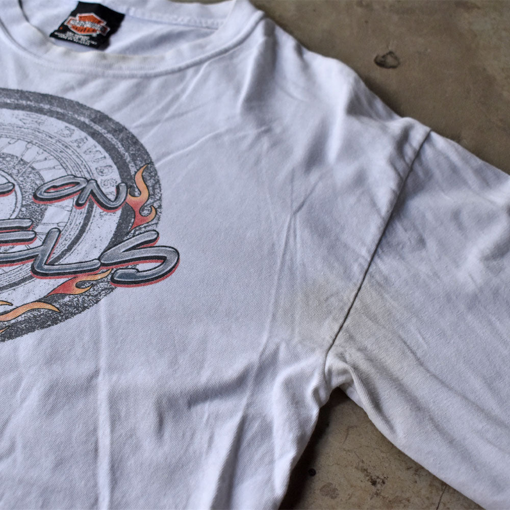 Y2K Harley-Davidson “HELL ON WHEELS” ファイヤーパターン ロングスリーブ Tシャツ USA製 240520