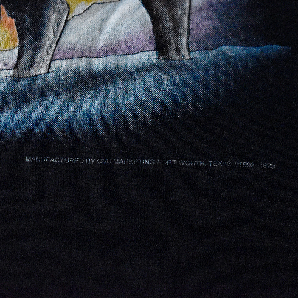 90's AMERICAN BIKER “Wing Wolf” Tシャツ USA製 250612H