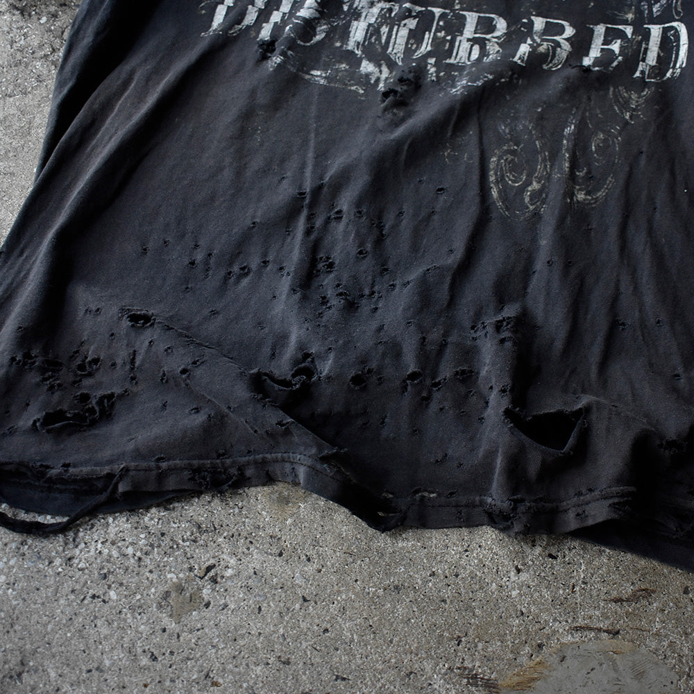 Y2K ボロ！ Disturbed “Indestructible“ ロック Tシャツ 250712H