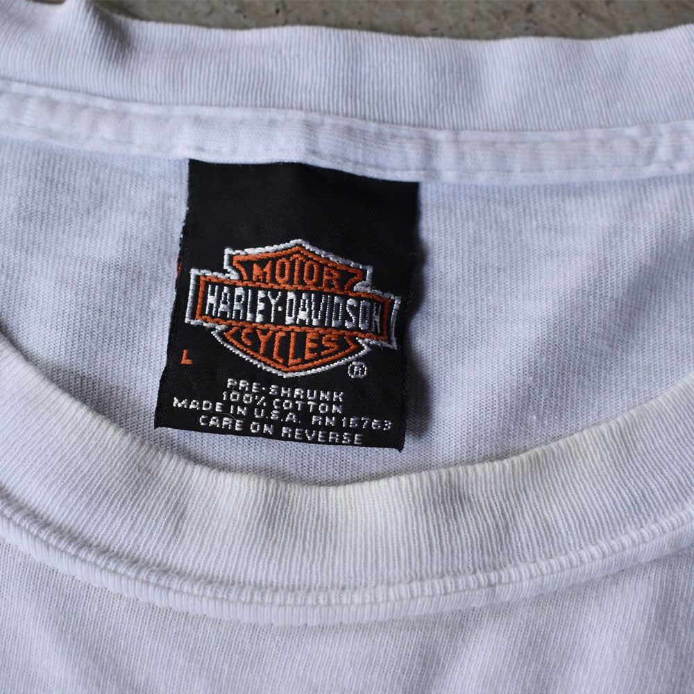 Y2K Harley-Davidson “HELL ON WHEELS” ファイヤーパターン ロングスリーブ Tシャツ USA製 240520