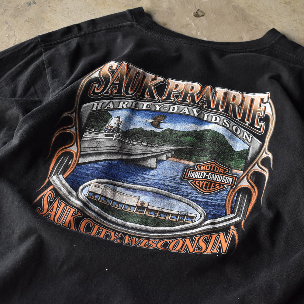 Y2K　Harley-Davidson/ハーレー・ダビッドソン スカル 両面プリント Tシャツ　230829